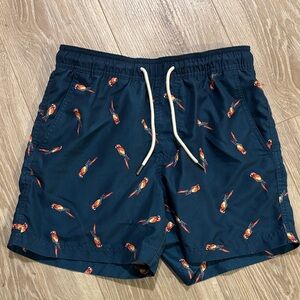 American Eagle Navy Swim Shorts with Parrot Print size XS